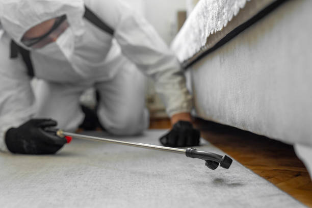 Professional Cockroach Control technician working in Metamora, IL