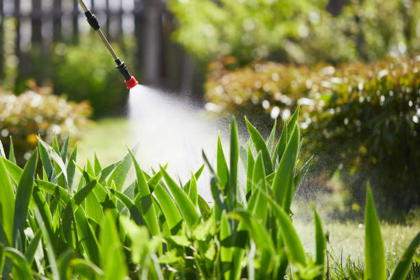 24/7 Emergency Cockroach Control experts in Metamora, IL