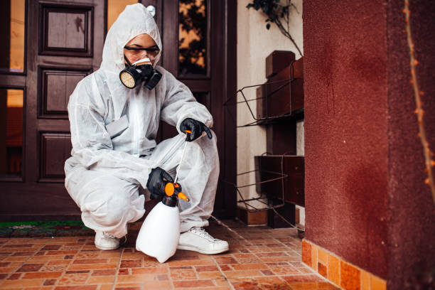 Reliable Cockroach Control contractor in Metamora, IL by Nex Pest Control